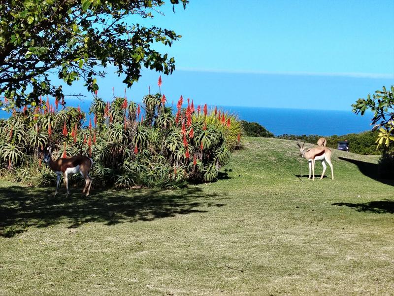 5 Bedroom Property for Sale in Mossel Bay Golf Estate Western Cape